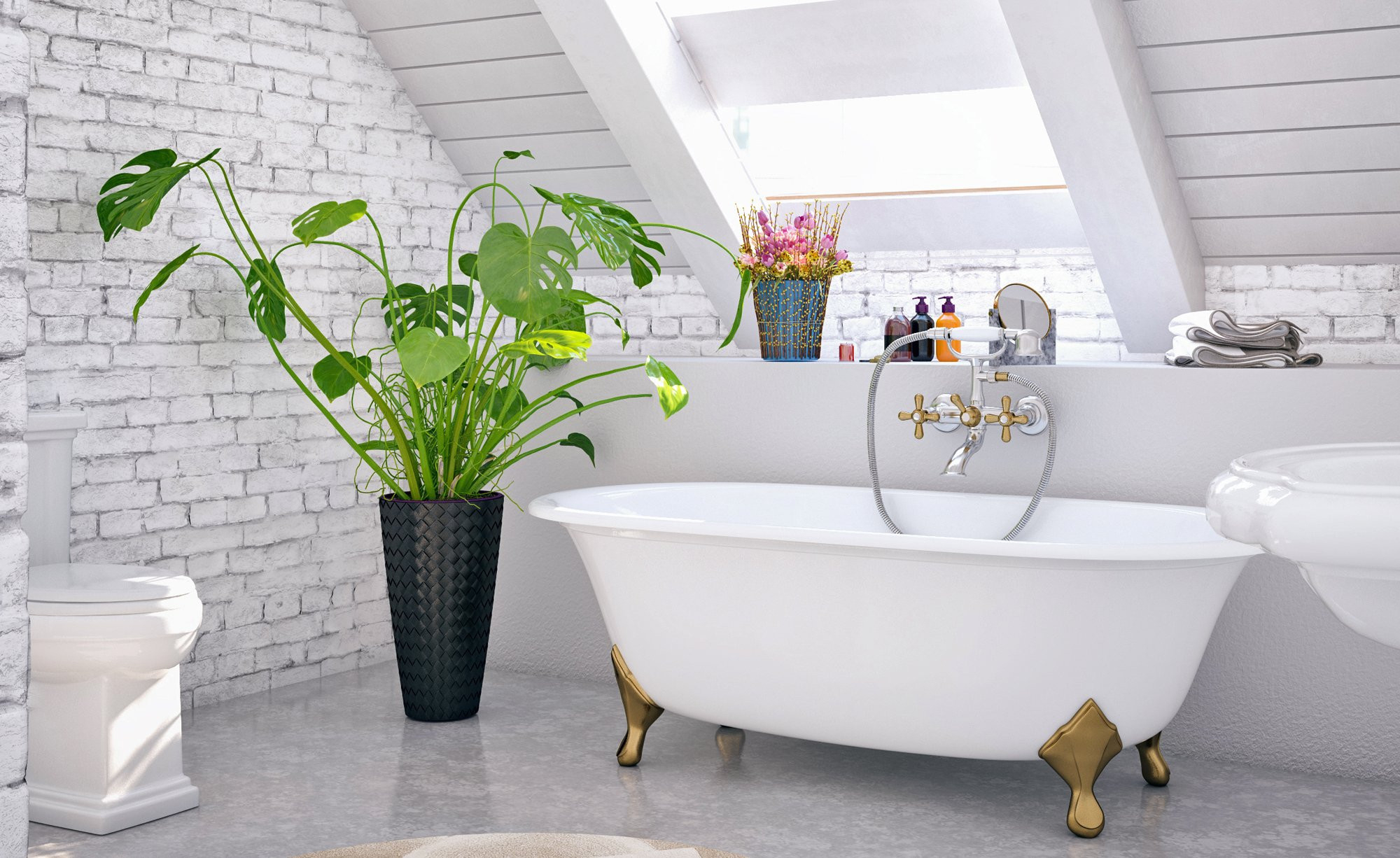 Pflanzen Fürs Bad: Diese Eignen Sich Am Besten - Mein Schöner Garten inside Badezimmer Pflanzen Hängend